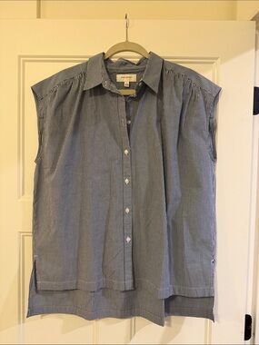 Banana Republic Blue and White Pinstripe Sleeveless Button-Up Blouse